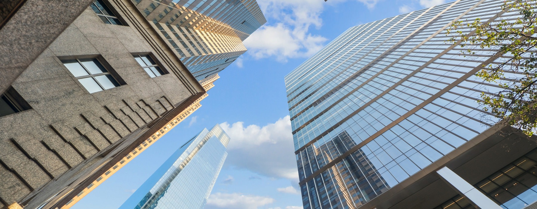buildings reaching to the sky